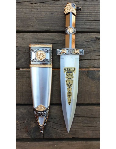 SPQR Roman dagger with scabbard - Zetan Medieval Store- Roman daggers