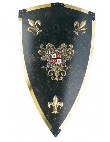 Charles V Metal Shield by Zetan Medieval Espadas in our Medieval Zetan Store in the Medieval shields category