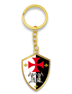 Cavaliere Templare 34